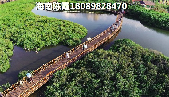 陵水土福湾房产