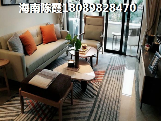海南陵水养老兼touzi的房子真的有