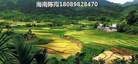 海南陵水适合生活