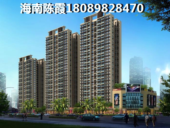 2022海南陵水买房子1