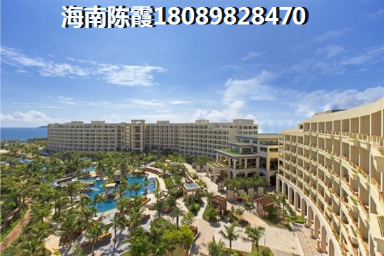 “候鸟”看好海南陵水的未来