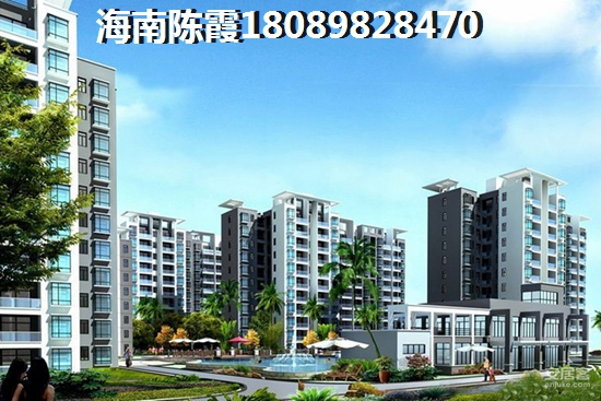 海南海南买房有生纸空间吗？