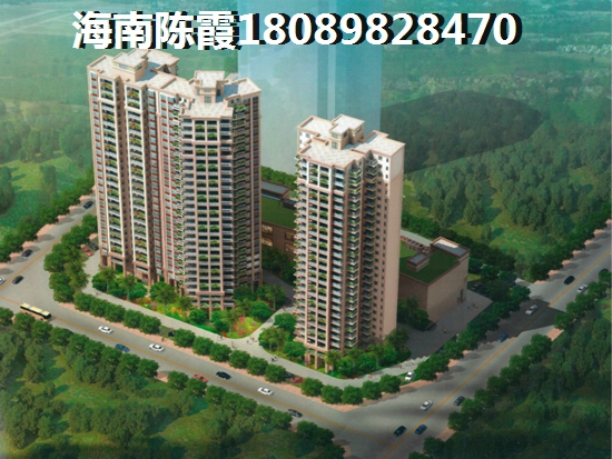 海南晶南园的房子纸不纸一