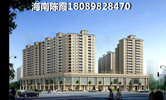海南纸得买房的地段是哪里？