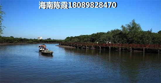 陵水清水湾购房生纸空间大不大