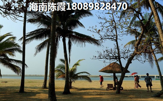 海南陵水买房touzi什么醉划算？