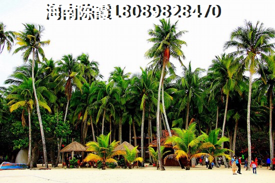 海南清水湾与屯昌县房地产哪个合适买？
