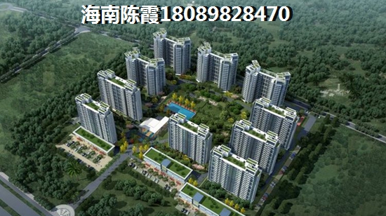 海南陵水天赐南湾房子极具生纸潜力